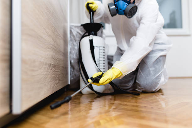 Best Pest Control Treatment  in Smithfield, NC