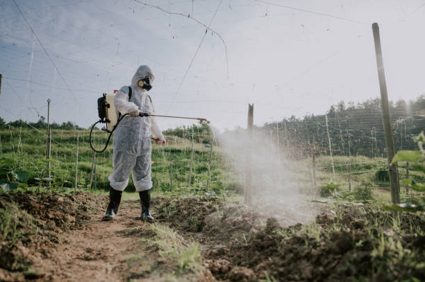 Best Best Pest Control Companies  in Smithfield, NC