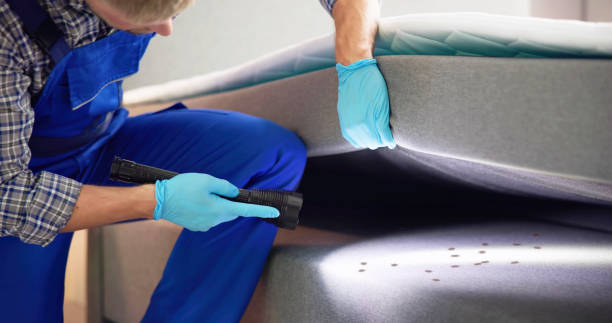 Best Best Pest Control Companies  in Smithfield, NC