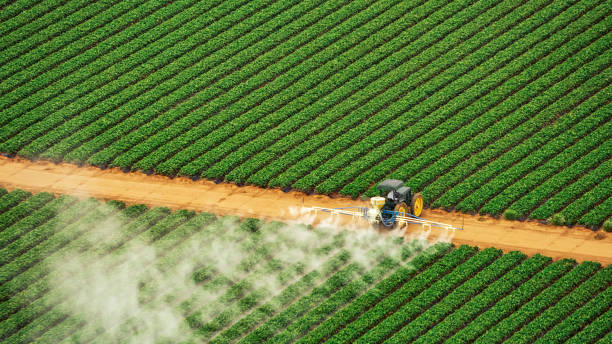 Best Exterminator Services  in Smithfield, NC