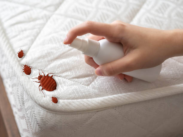 Best Ant Control Services  in Smithfield, NC