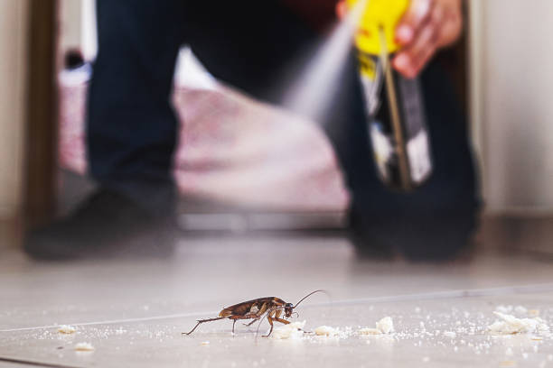 Best Pest Control for Restaurants  in Smithfield, NC