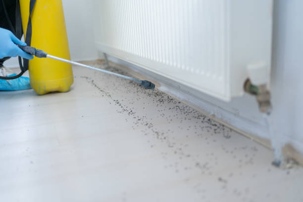 Best Best Pest Control Companies  in Smithfield, NC
