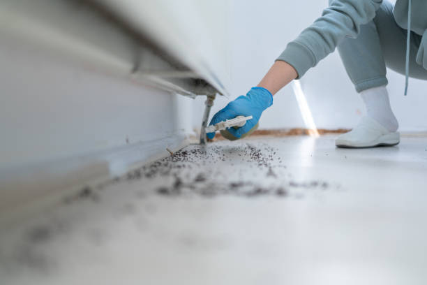 Best Pest Control for Homes  in Smithfield, NC