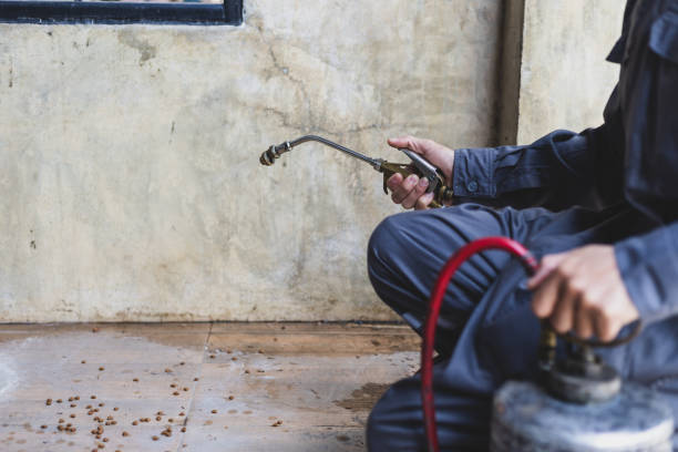 Pest Control for Restaurants in Smithfield, NC